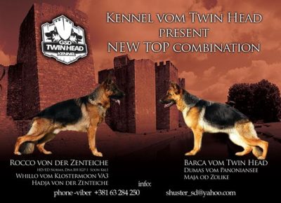 1nemackiovcar1619686851