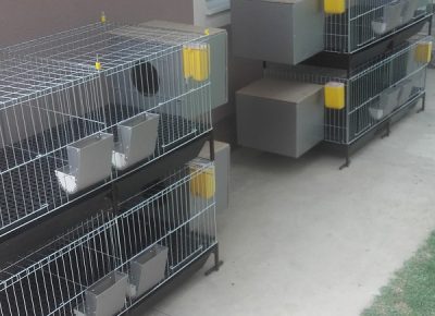 201808011306381619391747