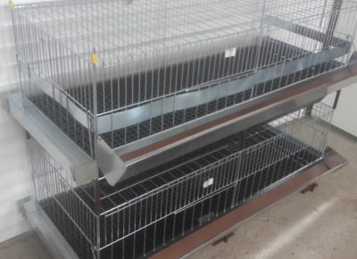 201901231157071619391667