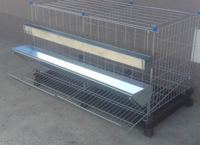 201902211412571619041374