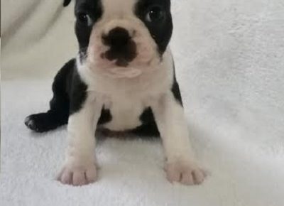 3Aleksandra21619435993