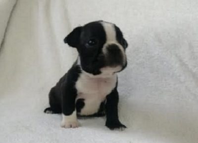 4Aleksandra21619435999