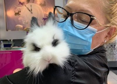 SalonzasisanjekucnihljubimacaDorcol(12)1619441168