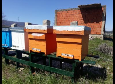 Screenshot20210416215804Gallery1618603377