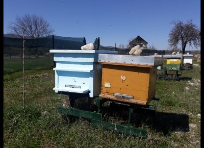 Screenshot20210416220114Gallery1618603405