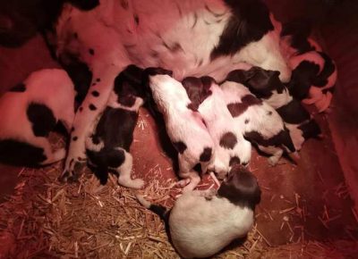 minsterlender011618752945