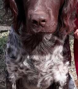 minsterlender031618752947