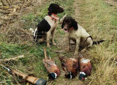 minsterlender041618752946