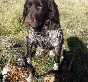 minsterlender051618752946