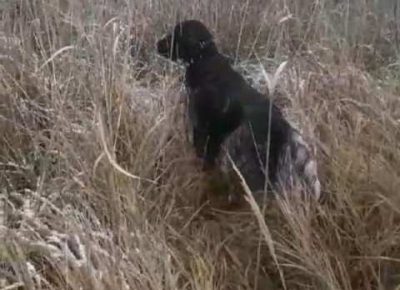 minsterlender061618752946