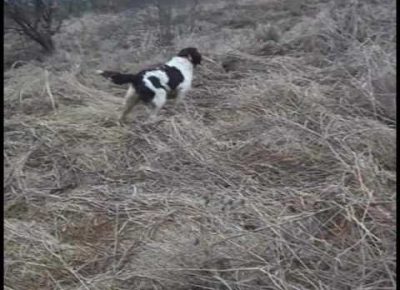 minsterlender071618752947