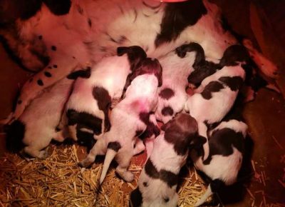 minsterlender081618752945