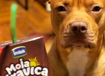 pitnemanjic101619169739