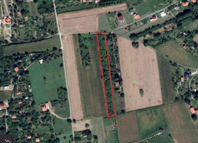 sirineplac1618344908