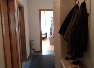 stanvračar61617471904