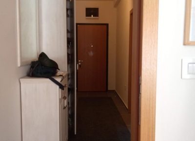 stanvračar91617471906