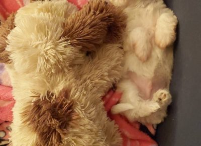 tamamaltez41617898725