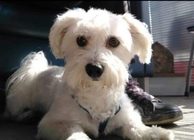 tamamaltez61617898727