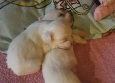 tamamatez81617898726