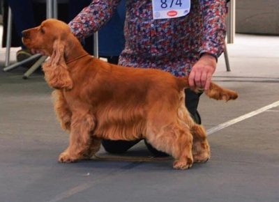 tamarakok11618237415