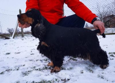 tamarakok41618237417