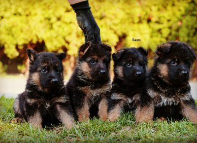 viberimage202104022115111617393661