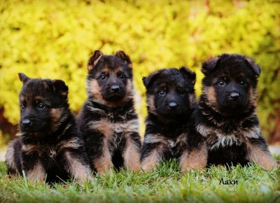 viberimage202104022115121617393662