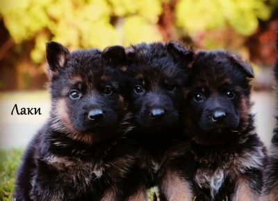 viberimage202104022115141617393663