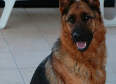 viberimage202104022115161617393661