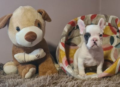 viberimage202104051415091617722814