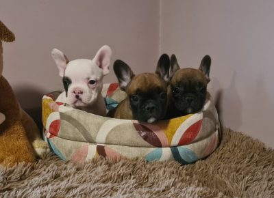 viberimage202104051415121617722813