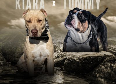 viberimage202104141349411618411503