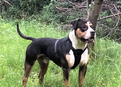 viberimage202104141349421618411502