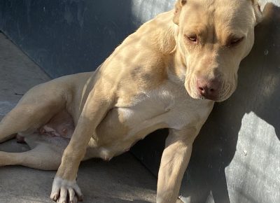 viberimage202104141349441618411503