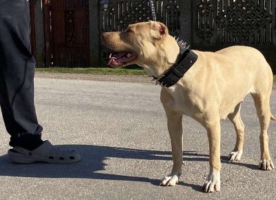 viberimage202104141349451618411501