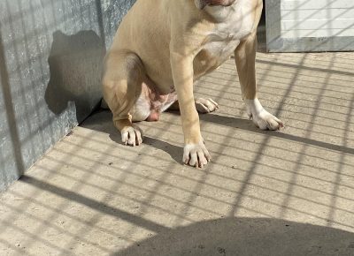 viberimage202104141349461618411502