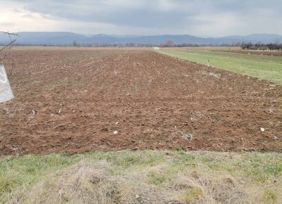 viberimage202104211918291619368424