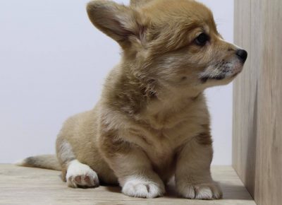 18629180611099512328513567680814051447533640n1621060912