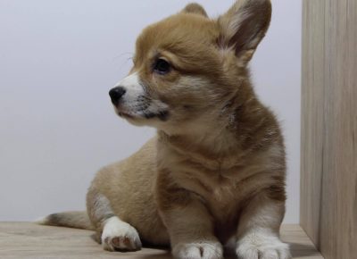 18629180611099512328513567680814051447533642n1621060914