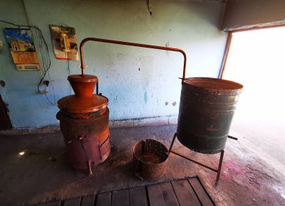 IMG0277bb29390cd40ca58dea5473511ba2V1621850203