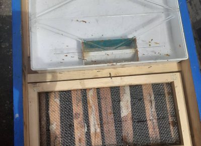 IMG341ac6d4015ec4885e94ef14d1cdbaf8V1621849972