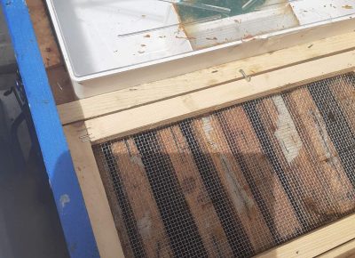 IMGfe9e9ed7fbe926f8027b36840cd50d44V1621849972