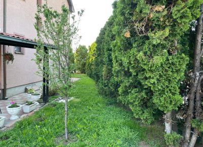 WhatsAppImage20210513at20.18.041620930186