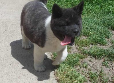 akiervinn111620816573