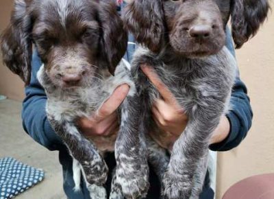 maliminsterlender011622230502