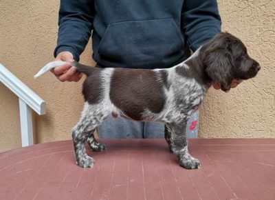 maliminsterlender021622230503