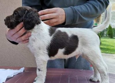 maliminsterlender031622230502