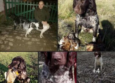 maliminsterlender041622230502