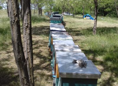 viberimage202010082130171621708625