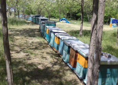 viberimage202010082130181621708628